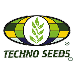 techno seeds