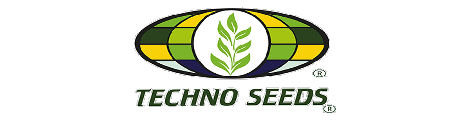 techno seeds